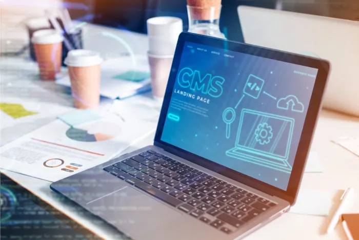 What Is a Headless CMS? A Complete Guide
